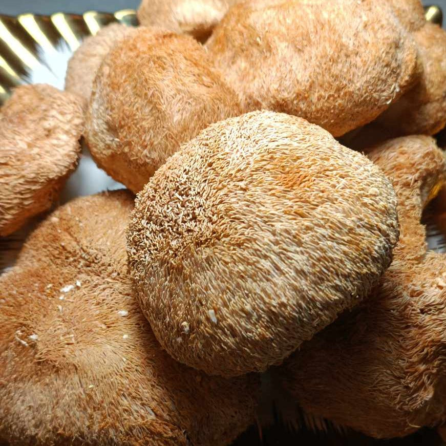 LION MANE WHOLE FRUITS from Ukraine