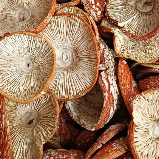 AMANITA MUSCARIA DRY WHOLE CAPS